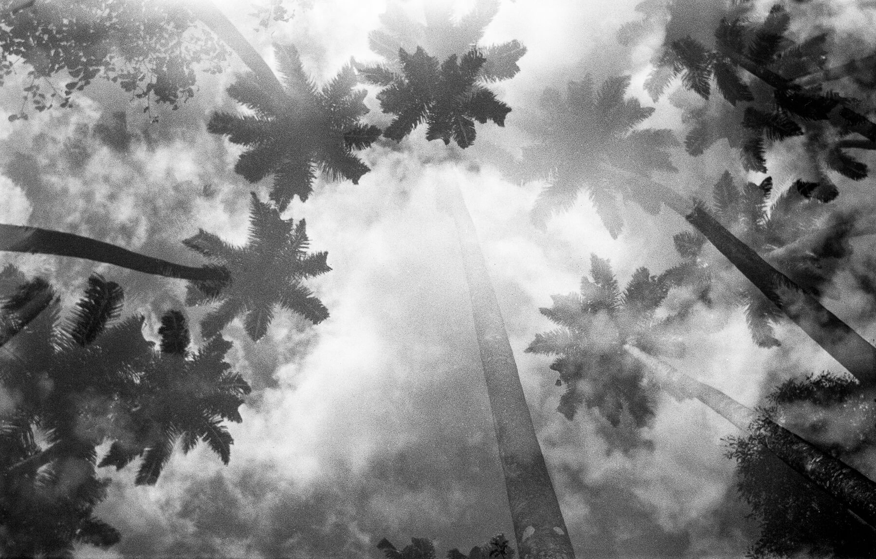 Testemunhas Cariocas